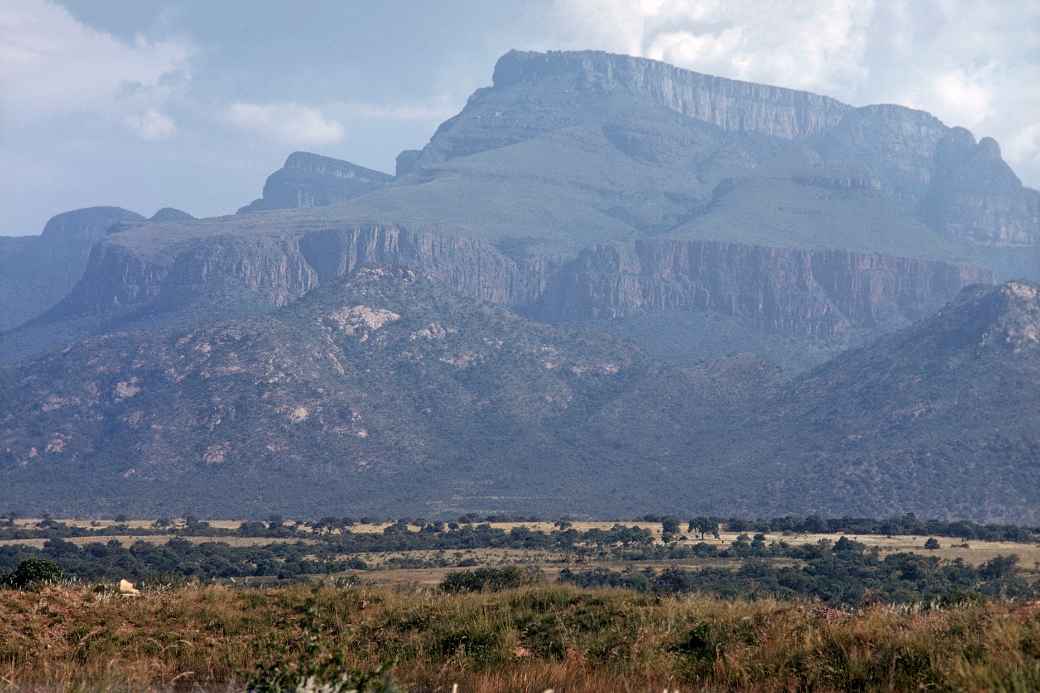 Landscape past Hoedspruit