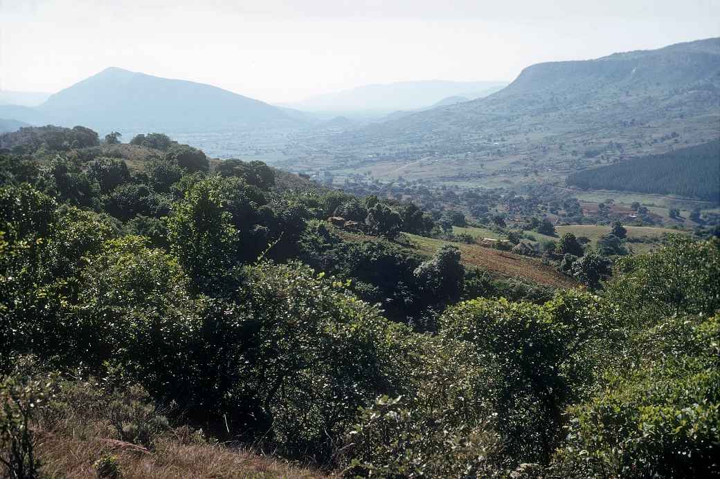 Between Sibasa and Nzhelele