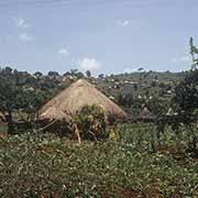 Village of Tshakuma