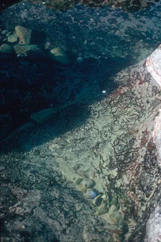 Tidal pool, Cape Agulhas