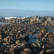 Cape Agulhas