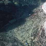 Tidal pool, Cape Agulhas