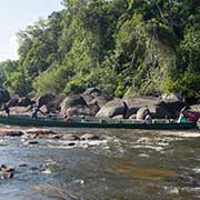 Negotiating the rapids