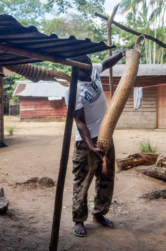 Explaining the manioc strainer