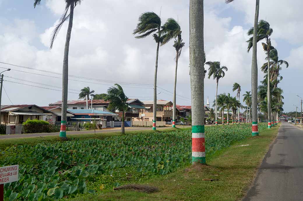 Canal, Nieuw Nickerie