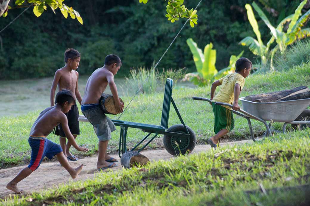 Boys with firewood, Palumeu