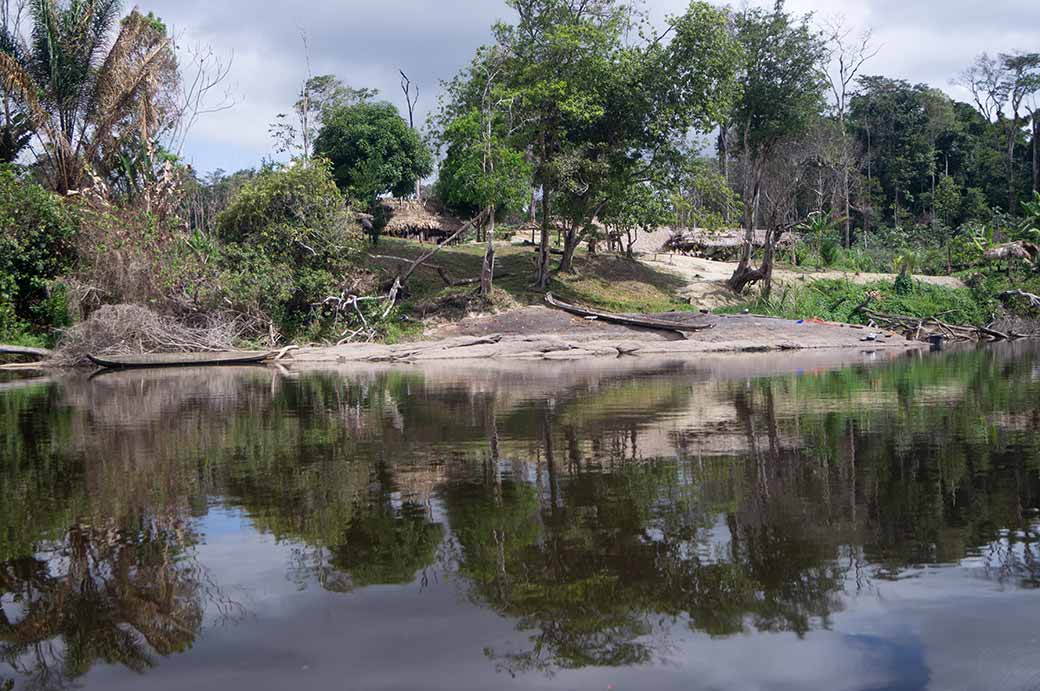 Along Palumeu river