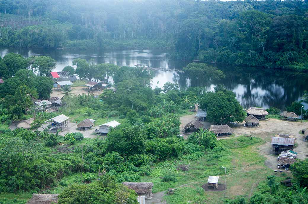 Aerial view of Palumeu