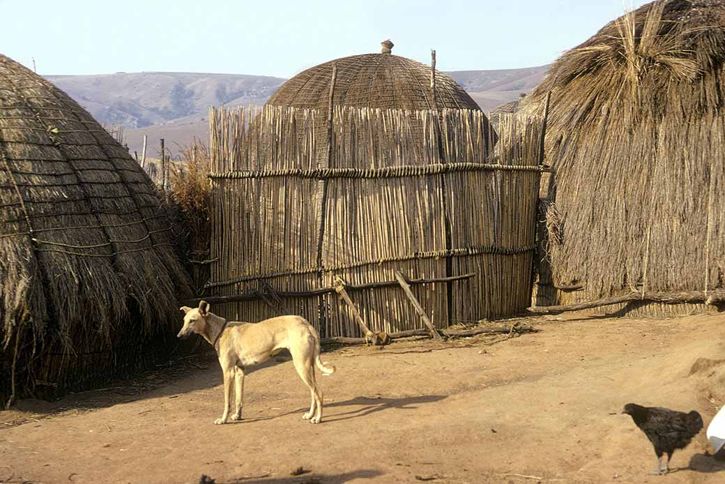 Beehive huts