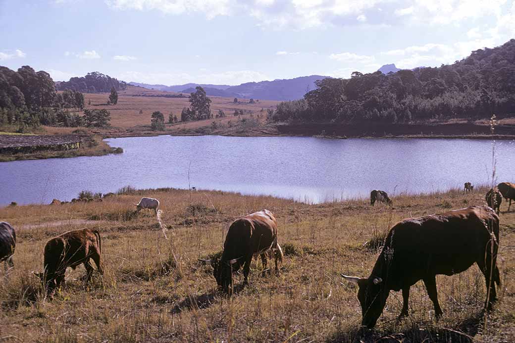 Dlangeni lake