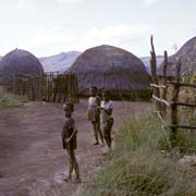 Traditional homestead