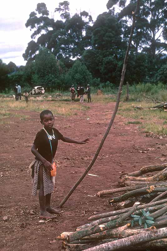 Boy with pole