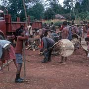 Delivering wooden poles