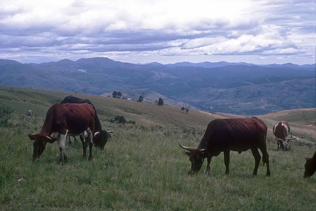 Landscape near Nkaba