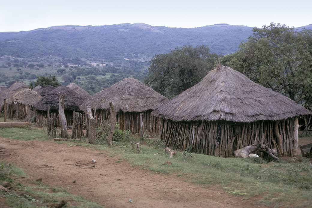 Northern homestead