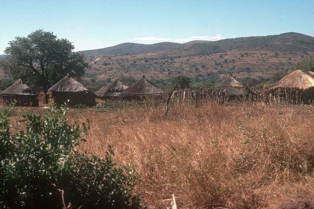 Homestead near Herefords