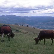 Landscape near Nkaba