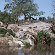 At the Lomati river