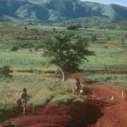 Farm at Mvembili