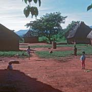 Shongwe's compound