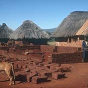 Mashobeni homestead