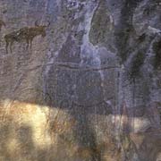 Bushmen paintings