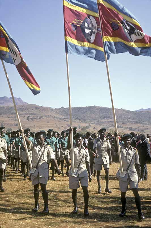 Scouts with flag