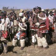 Sibhaca dance group