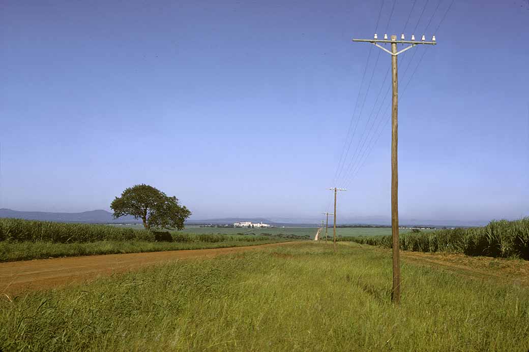 Sugar fields, Mhlume