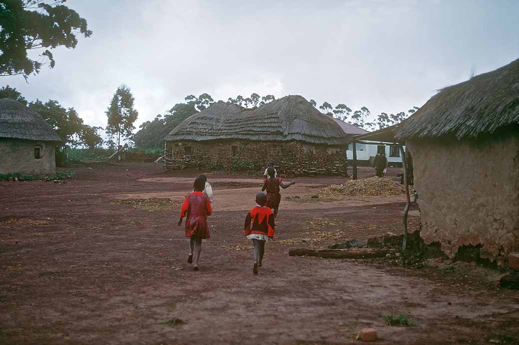 Homestead, Mambane