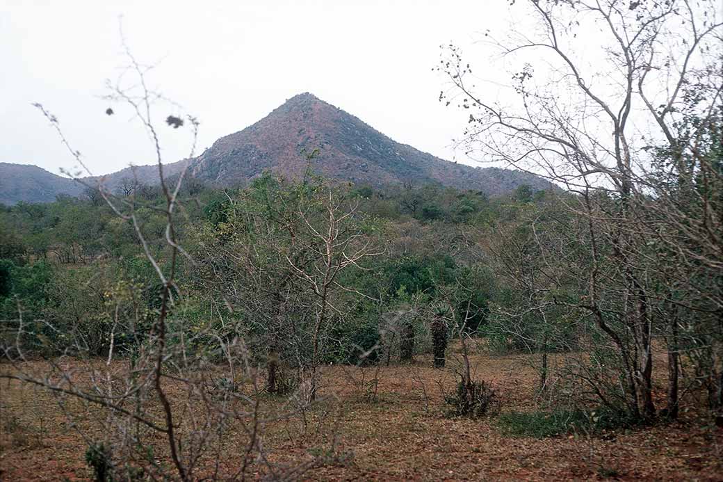 Lowveld landscape