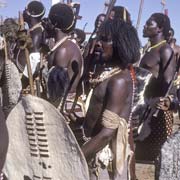 Swazi warriors