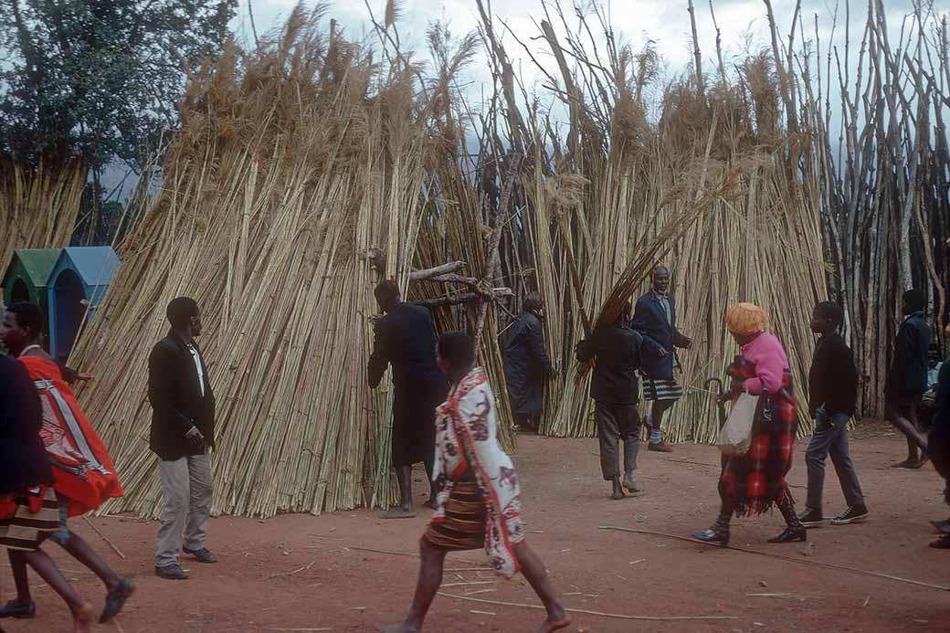 Selecting reed bundles