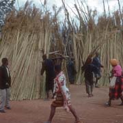 Selecting reed bundles