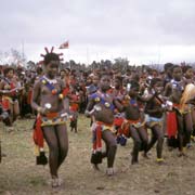 Small girls dancing