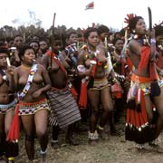 The Reed Dance