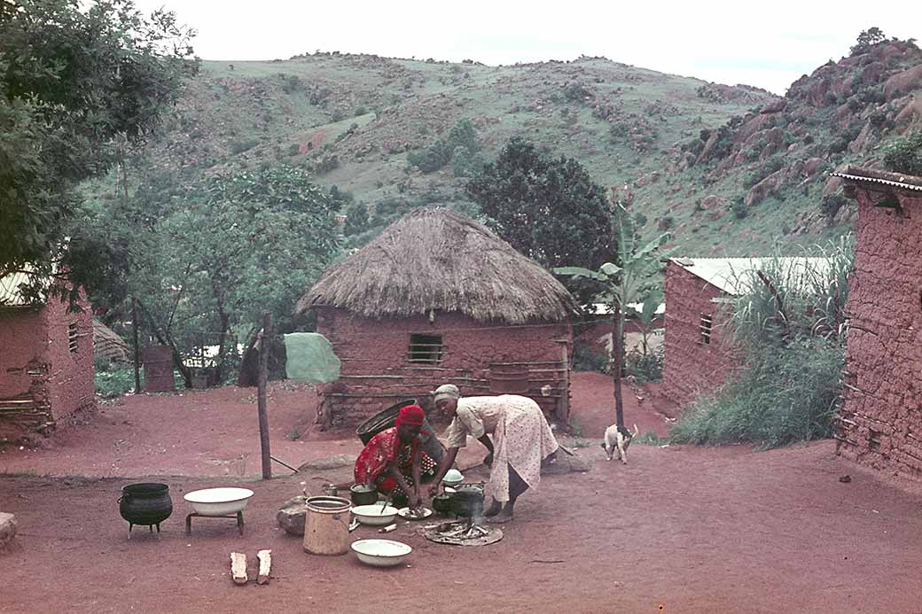 Doing the cooking