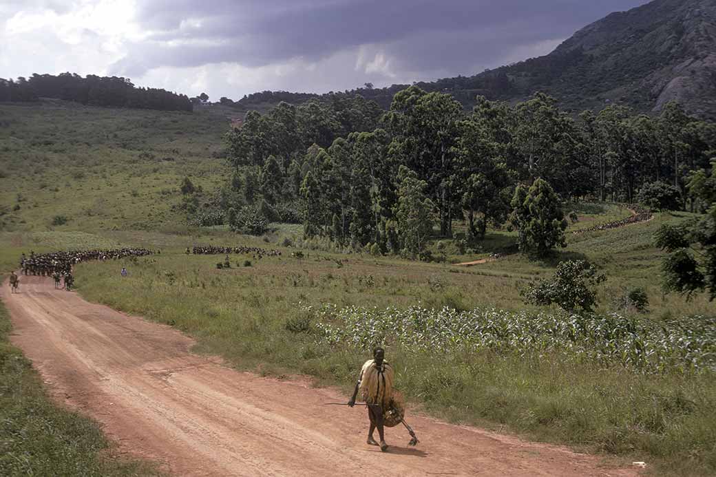 Marching from Lozitha