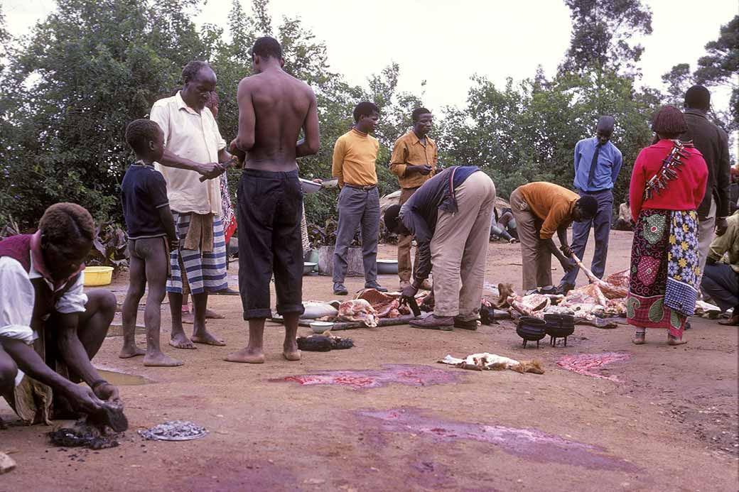 Butchering the goats