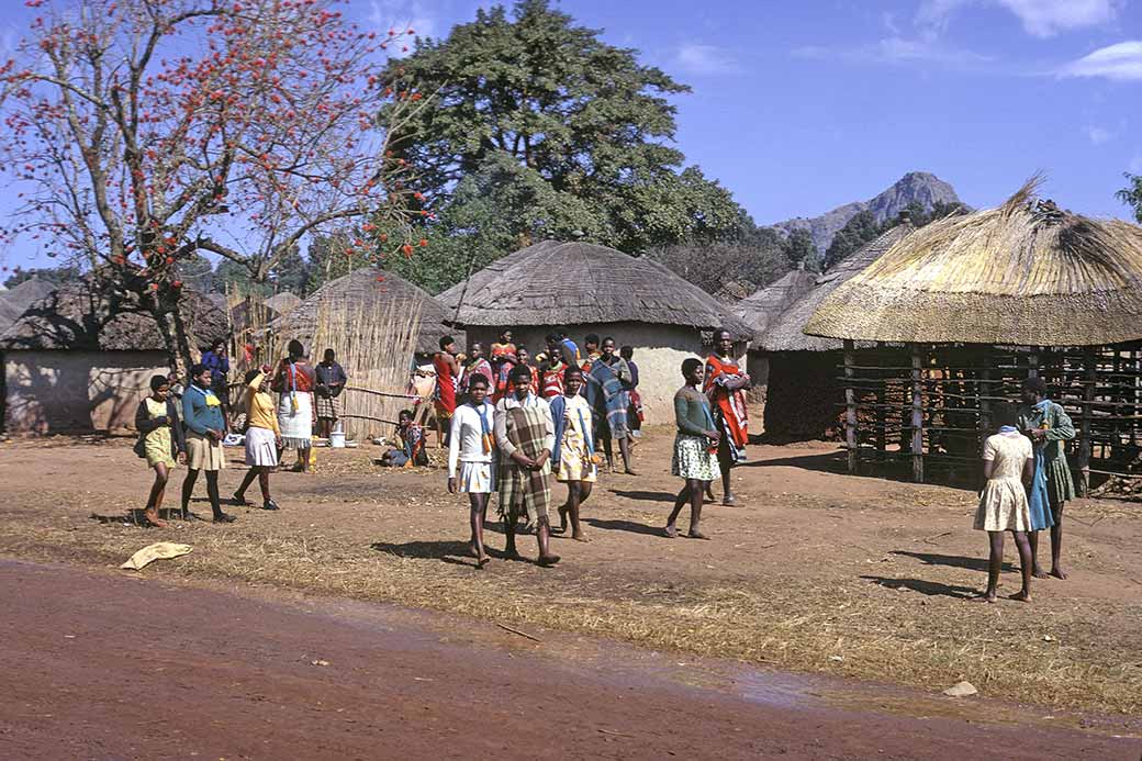 Houses in Lobamba