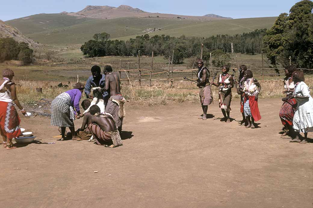 Sangoma ceremony