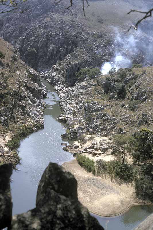 In Mahamba Gorge