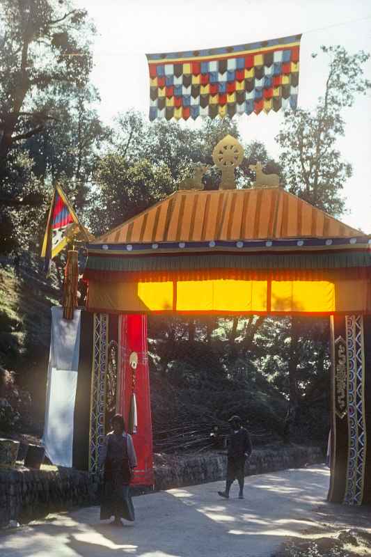 Decorated gate, McLeod Ganj