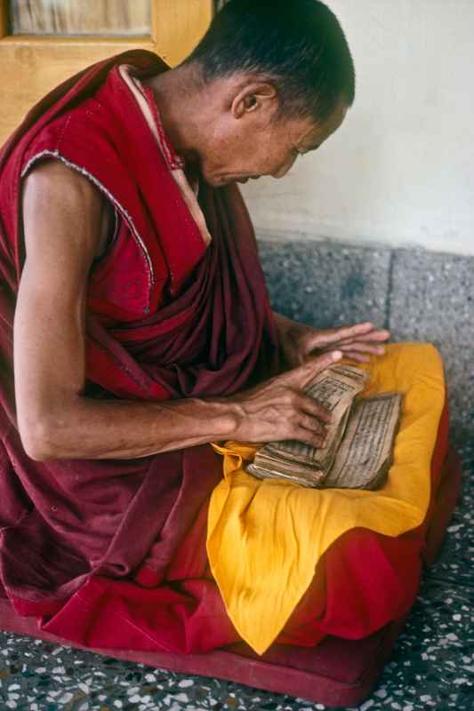 Monk reading texts