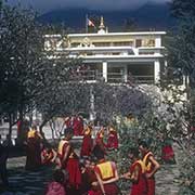 Buddhist monks, Tsuglagkhang