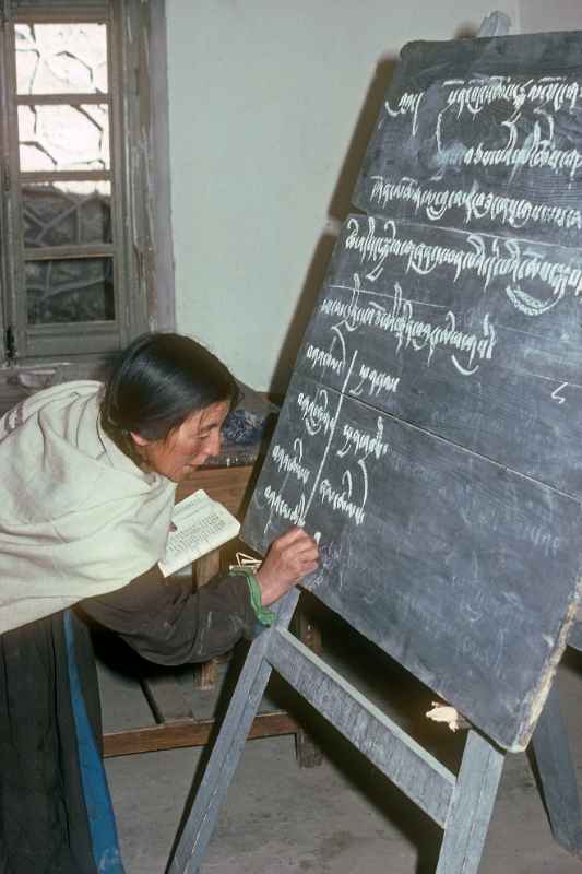 Bodhi (Tibetan) lesson