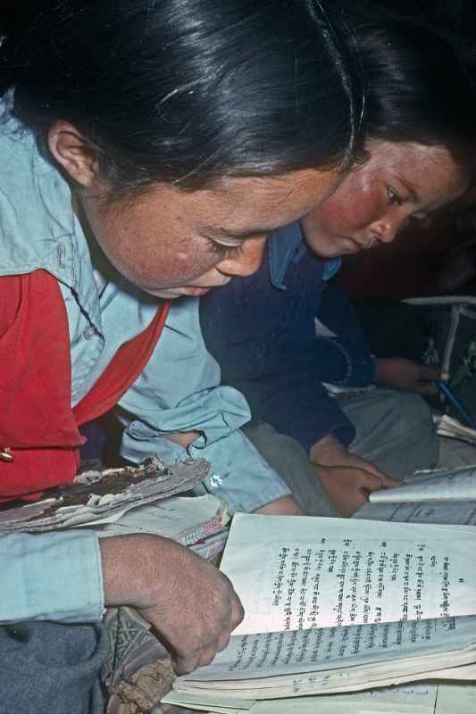 Girl reading in Tibetan