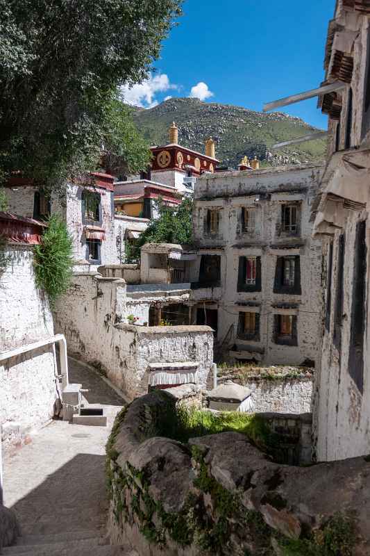 Buildings, Drepung Monastery