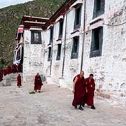 Monks, Drepung Monastery