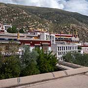 Drepung Monastery